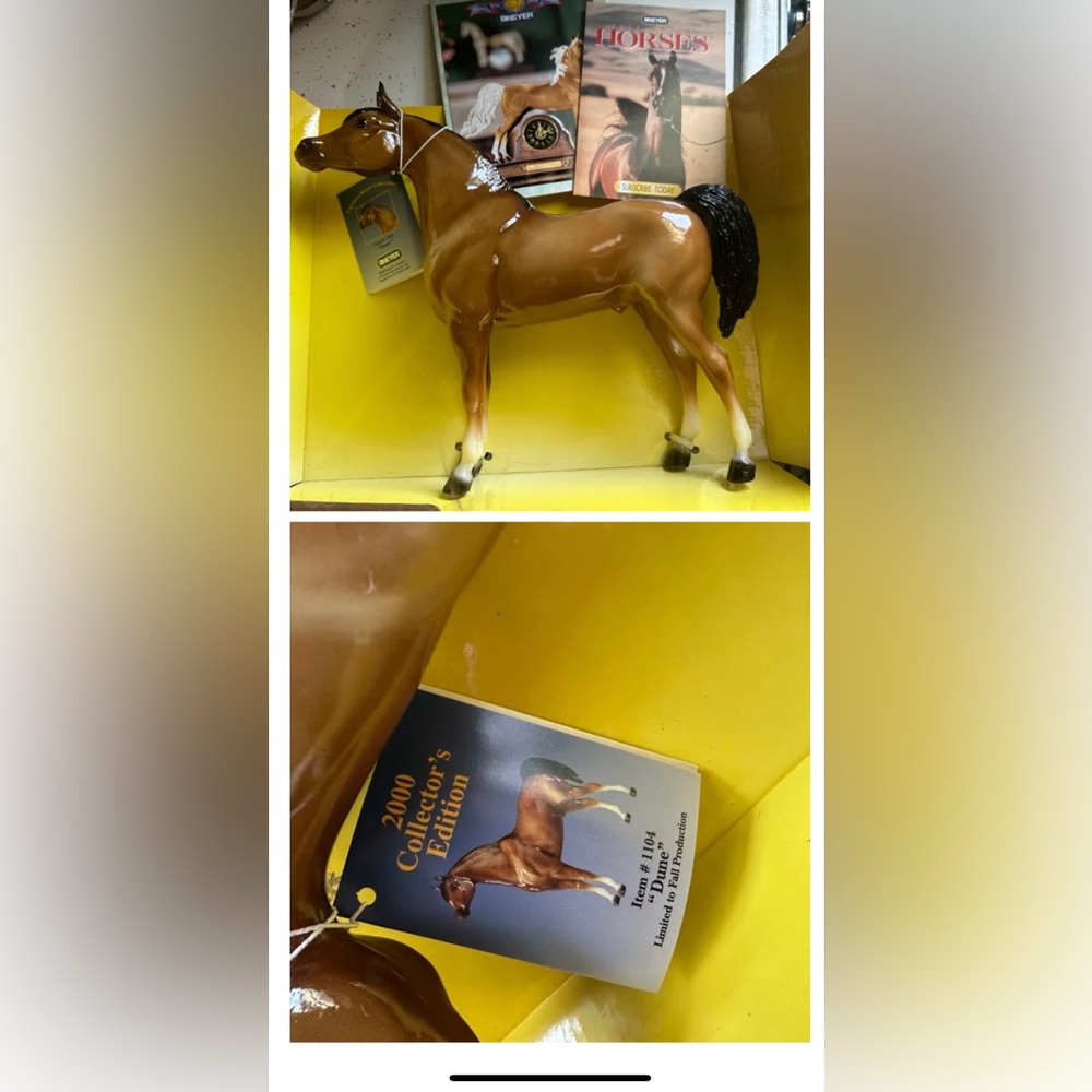 Dune Breyer